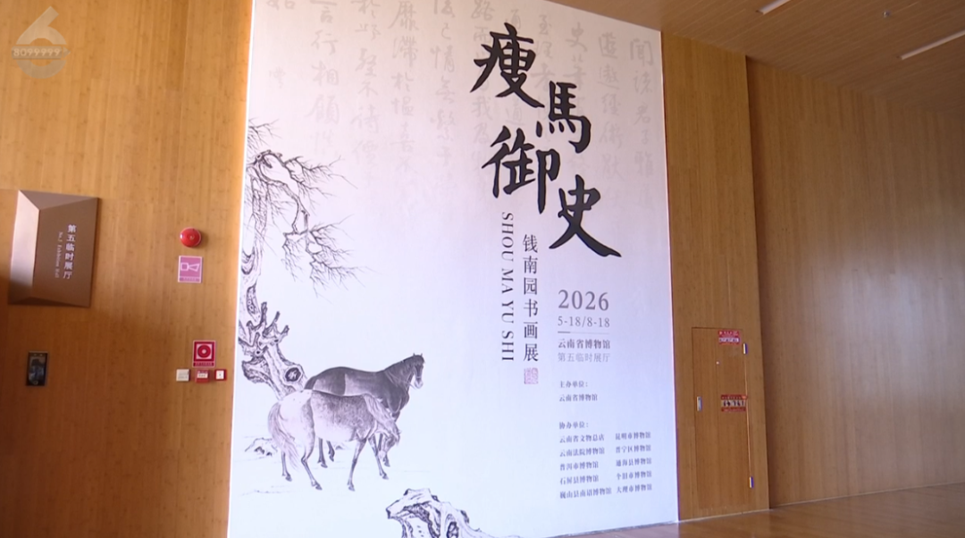8099999街头巷尾微信