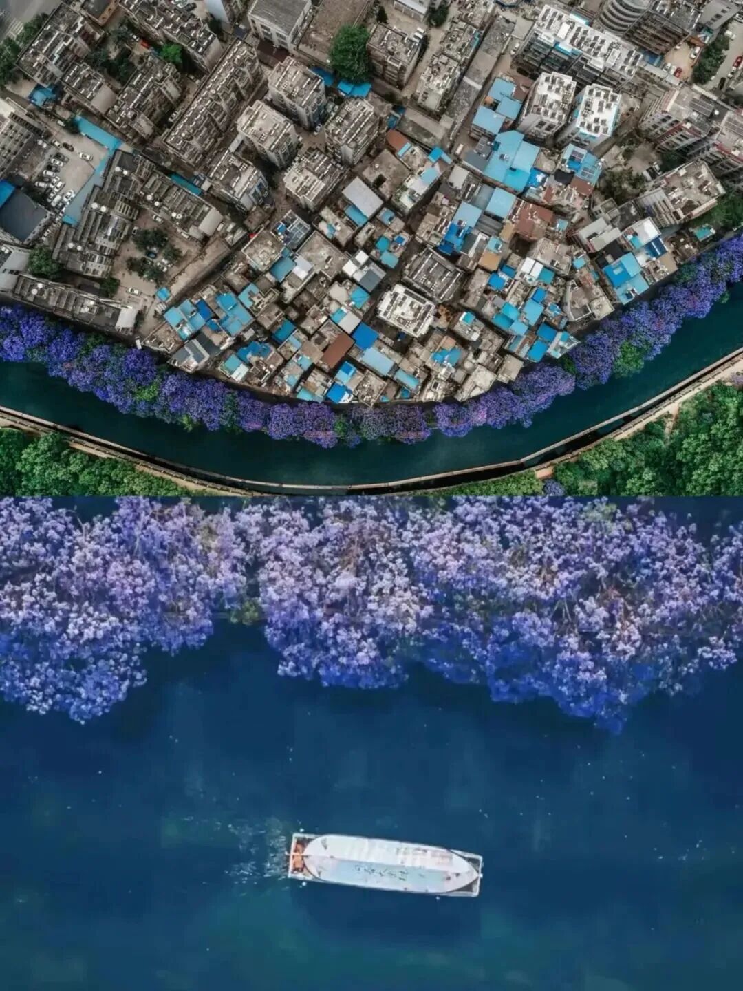 掌上春城微信