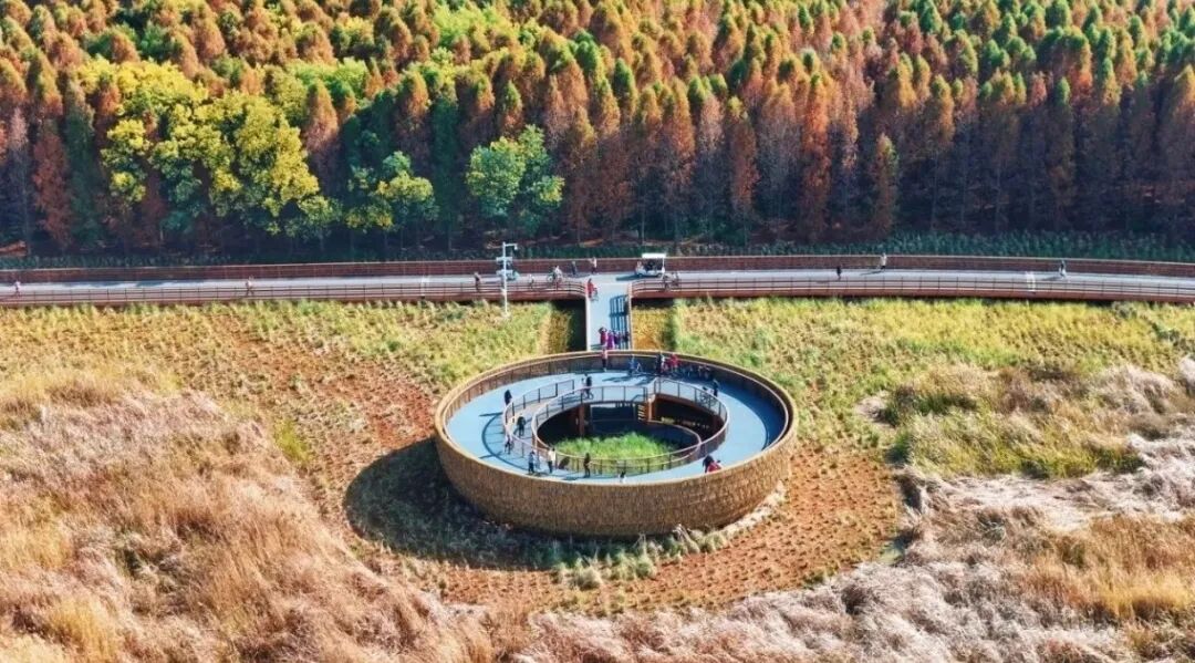 街头巷尾