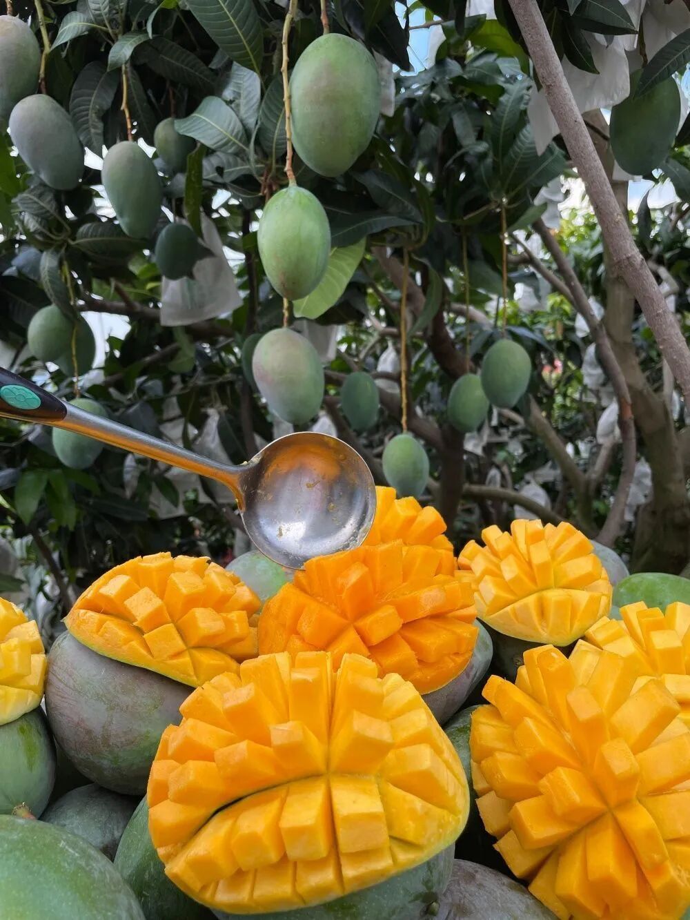 街头巷尾