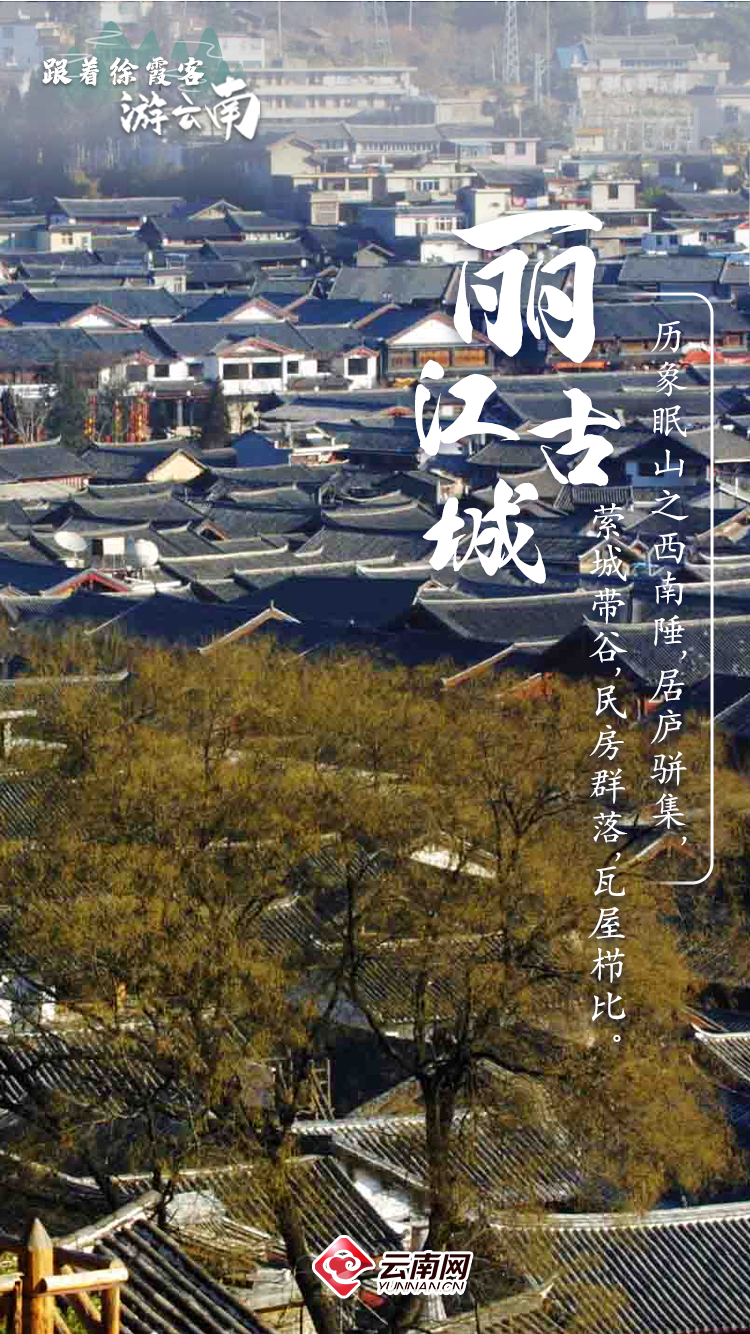 8099999街头巷尾微信