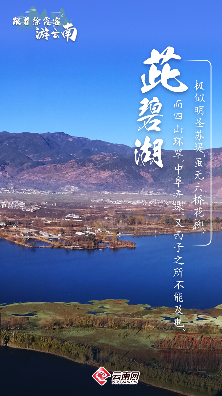 8099999街头巷尾微信
