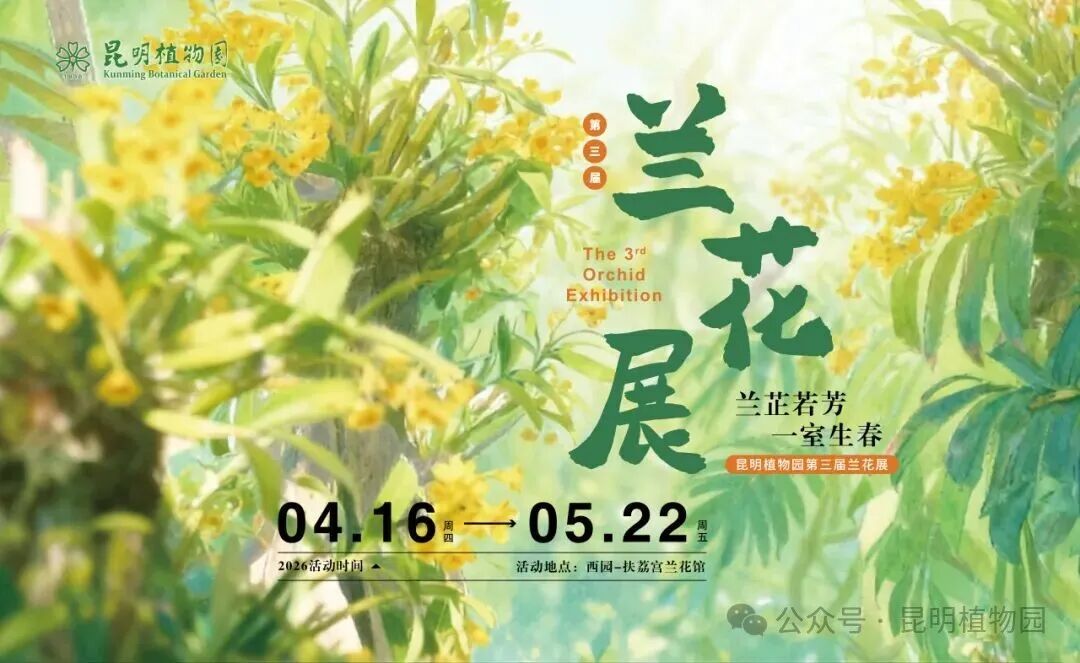 8099999街头巷尾微信