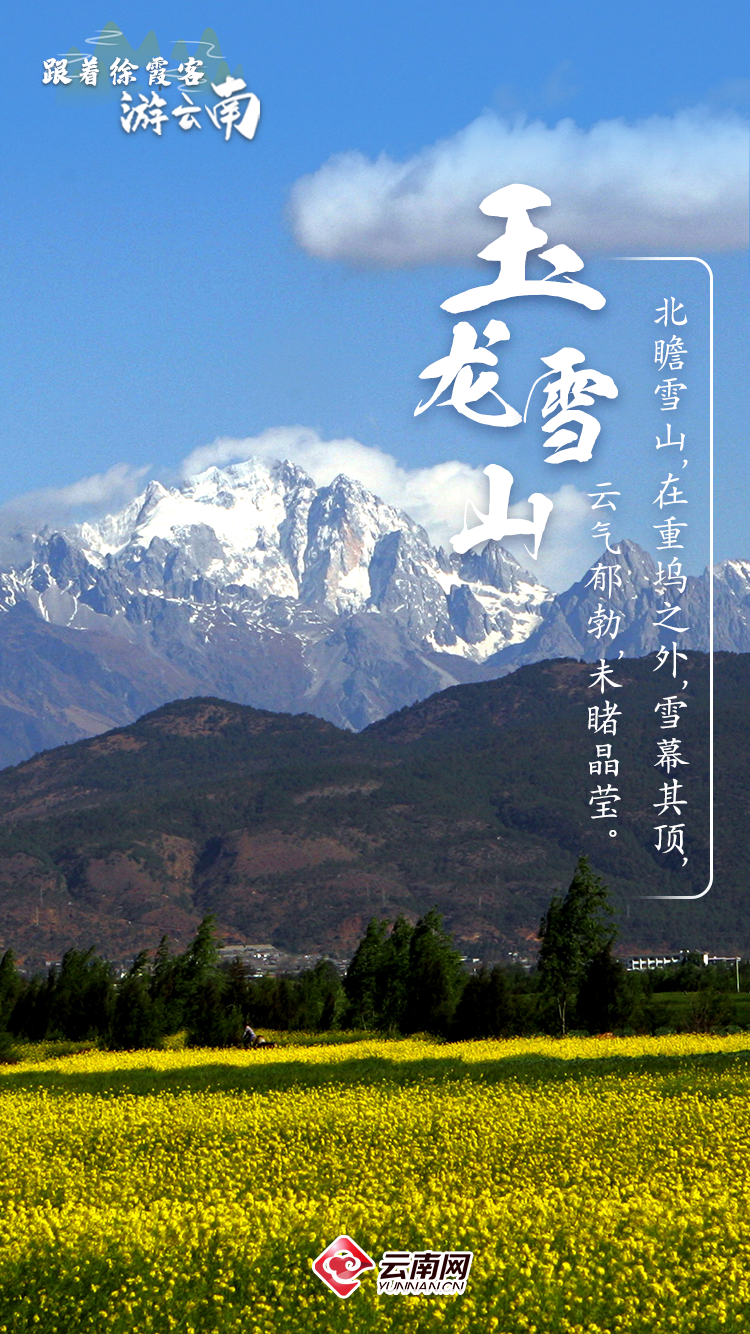 8099999街头巷尾微信