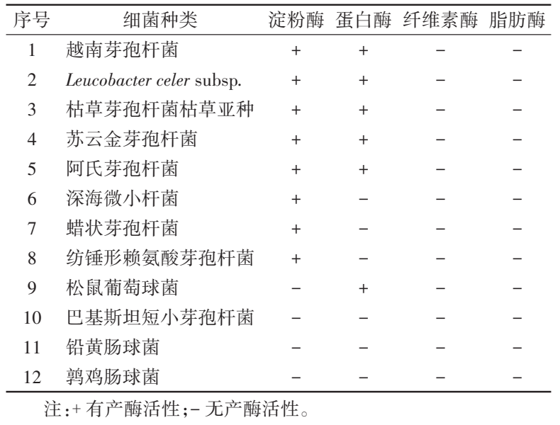 都市时报
