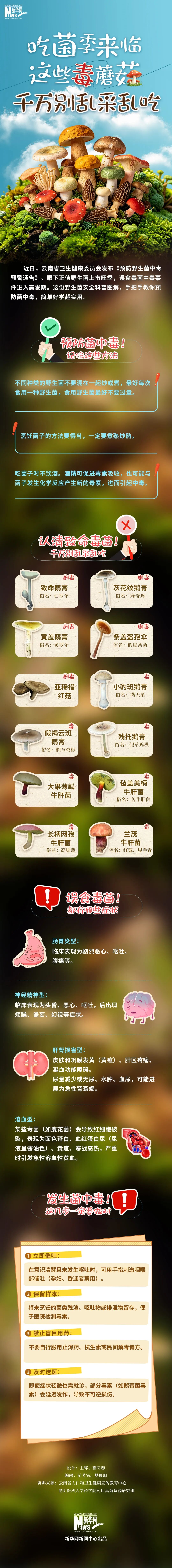 @云南人 吃菌季来临，这些毒蘑菇千万别乱采乱吃