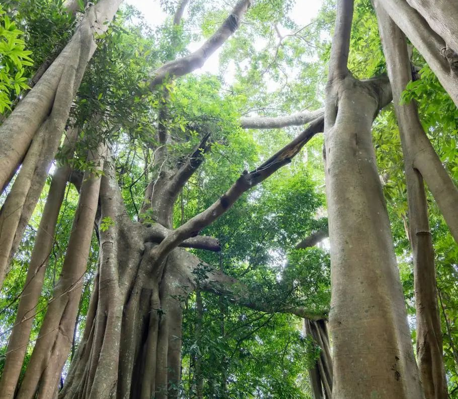 街头巷尾