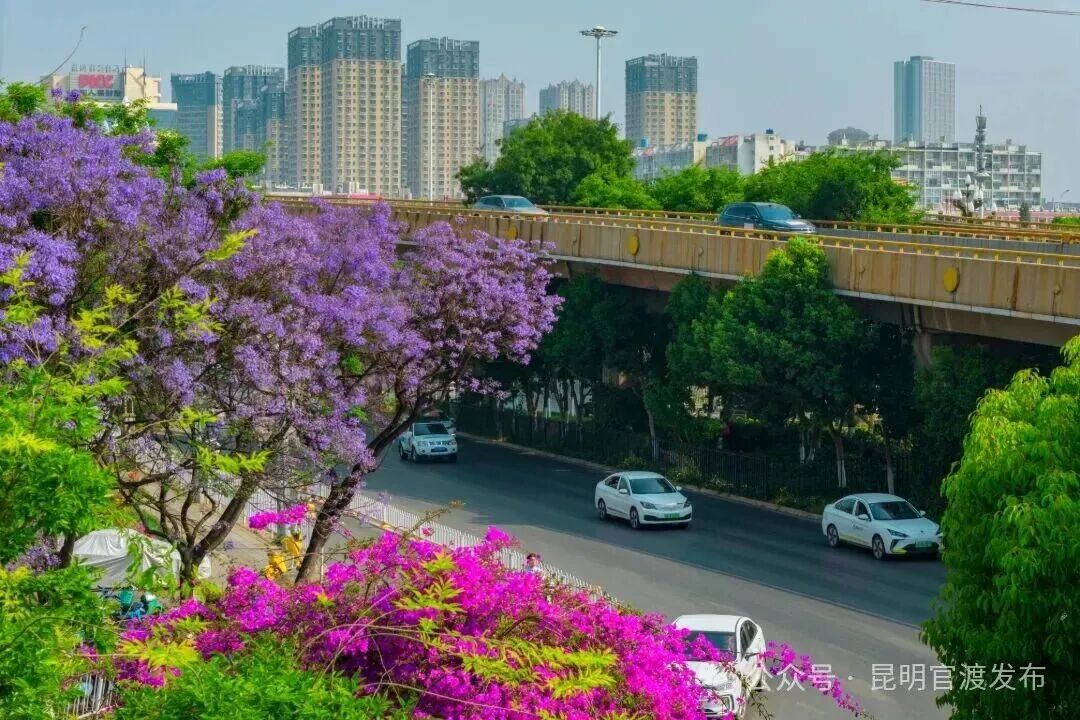 街头巷尾