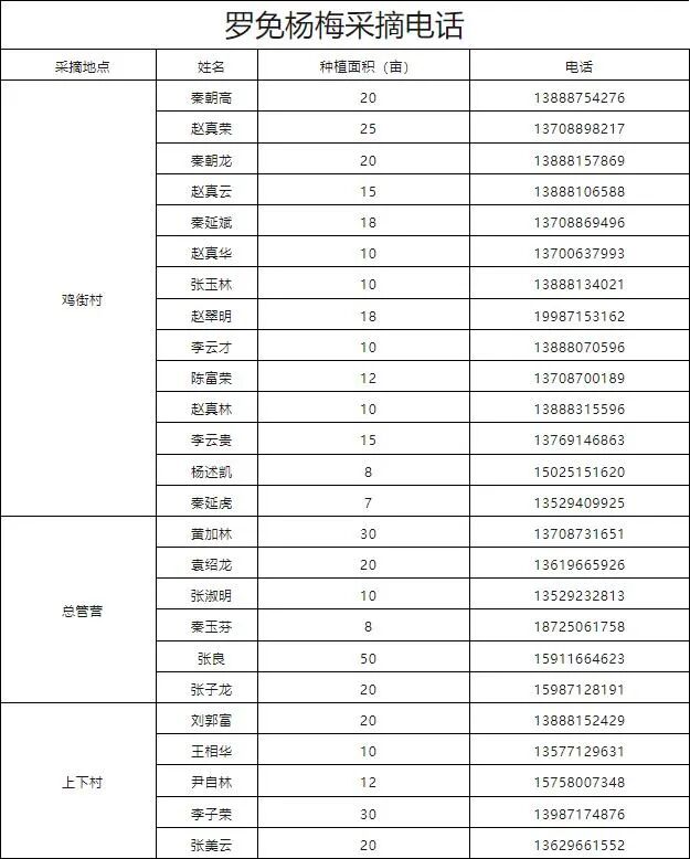 街头巷尾