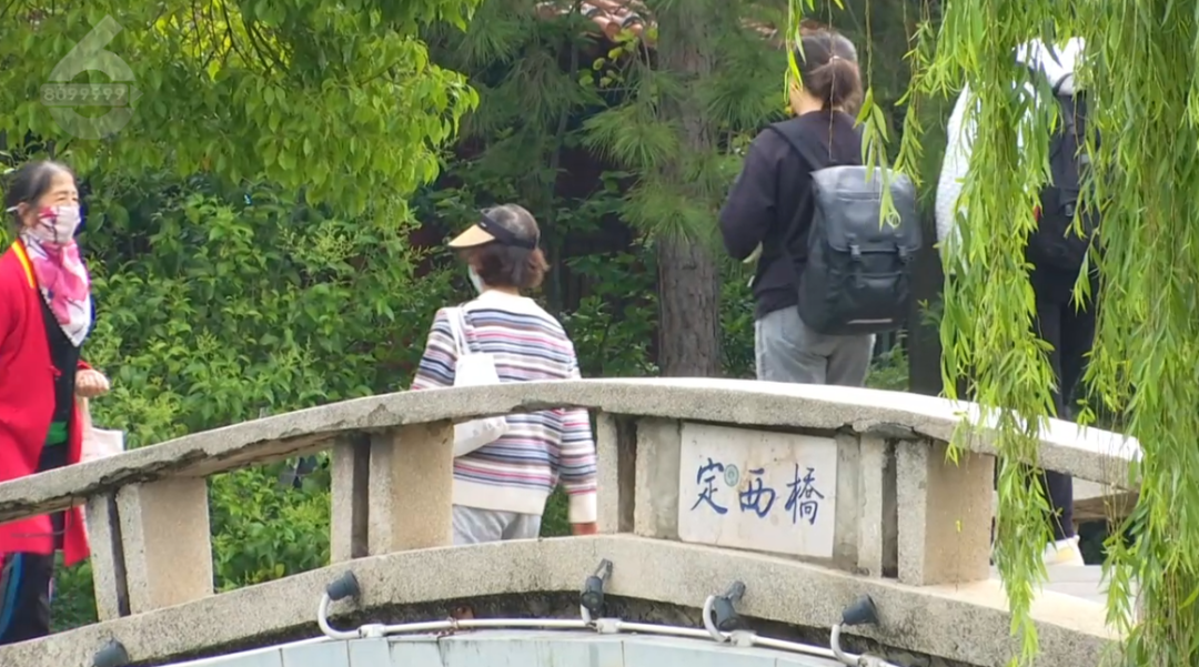 8099999街头巷尾微信