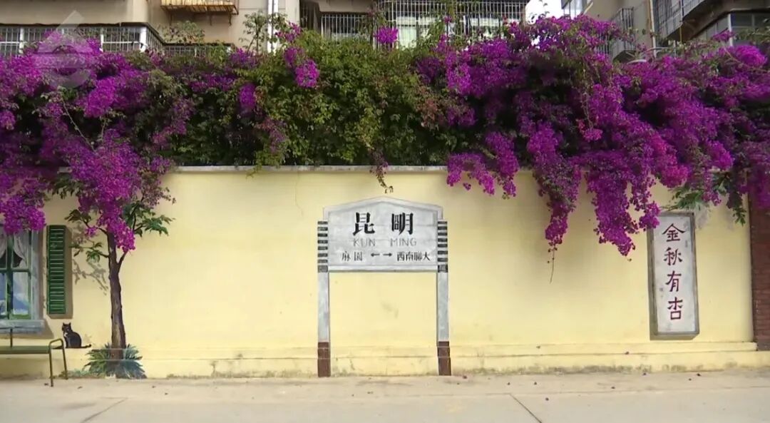 街头巷尾