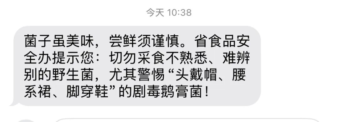 掌上春城微信