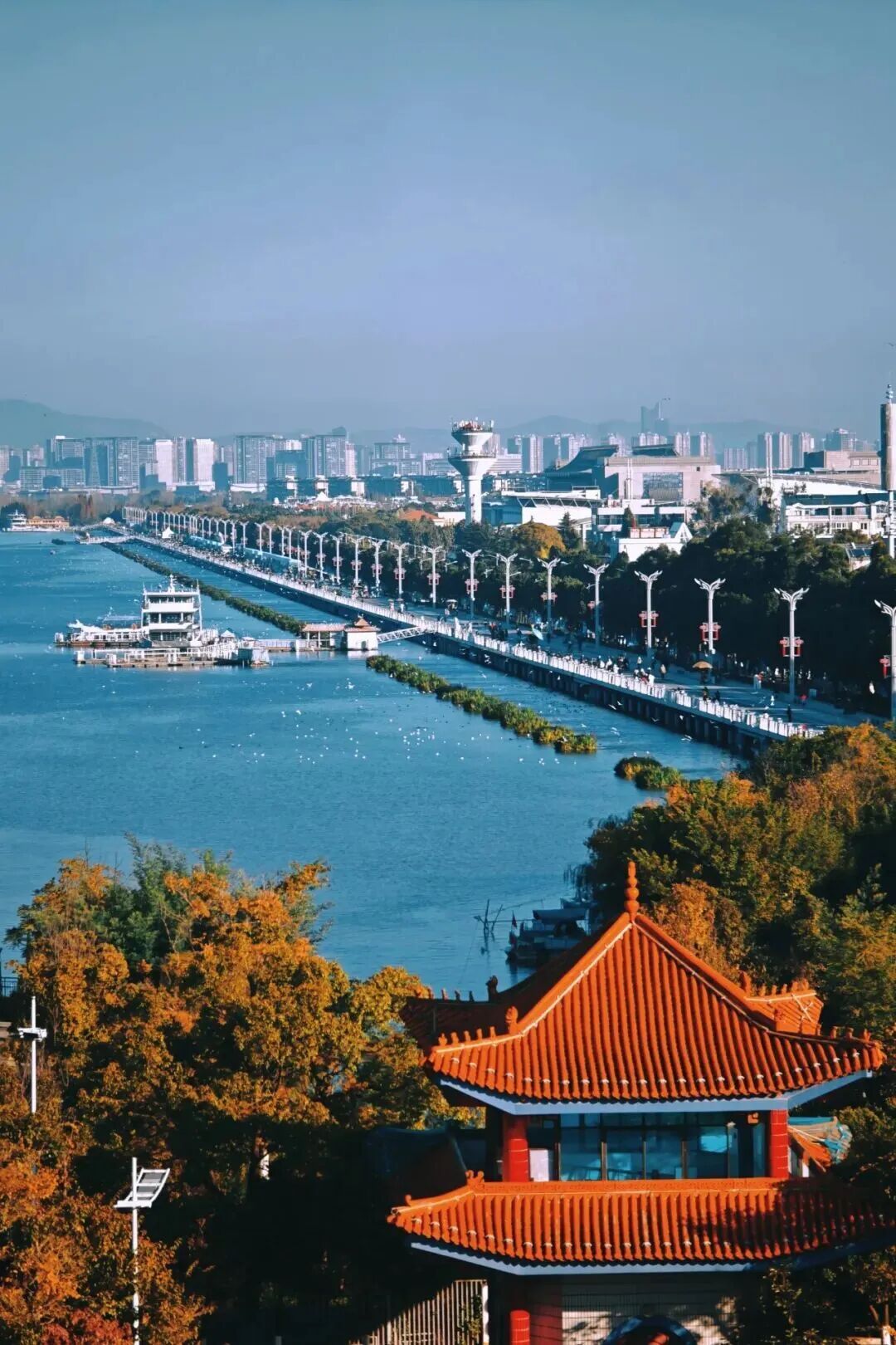 掌上春城微信