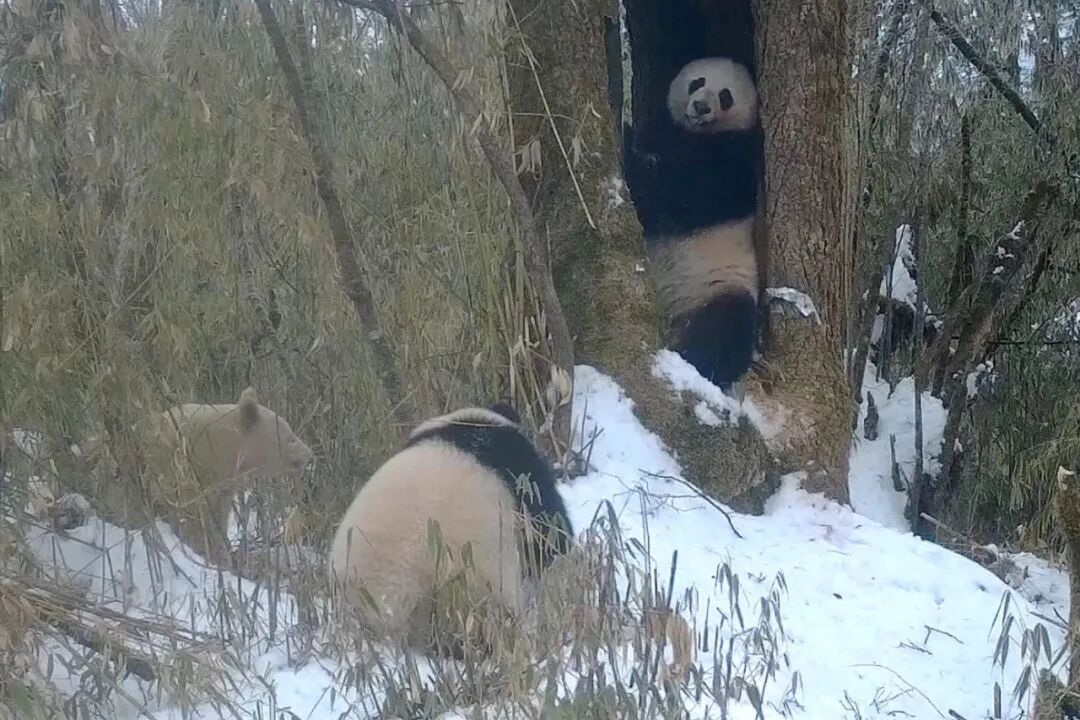 昆明广播电视台