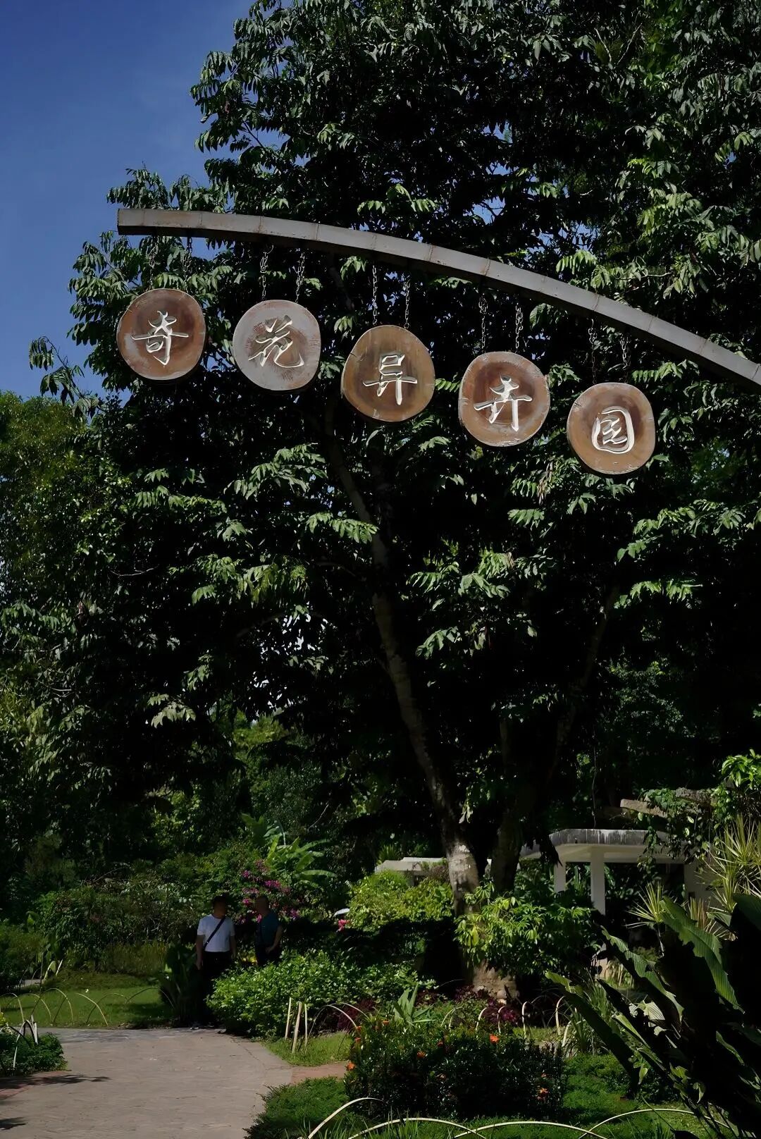 街头巷尾