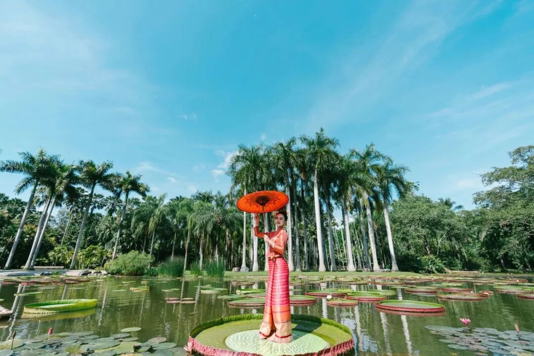 街头巷尾
