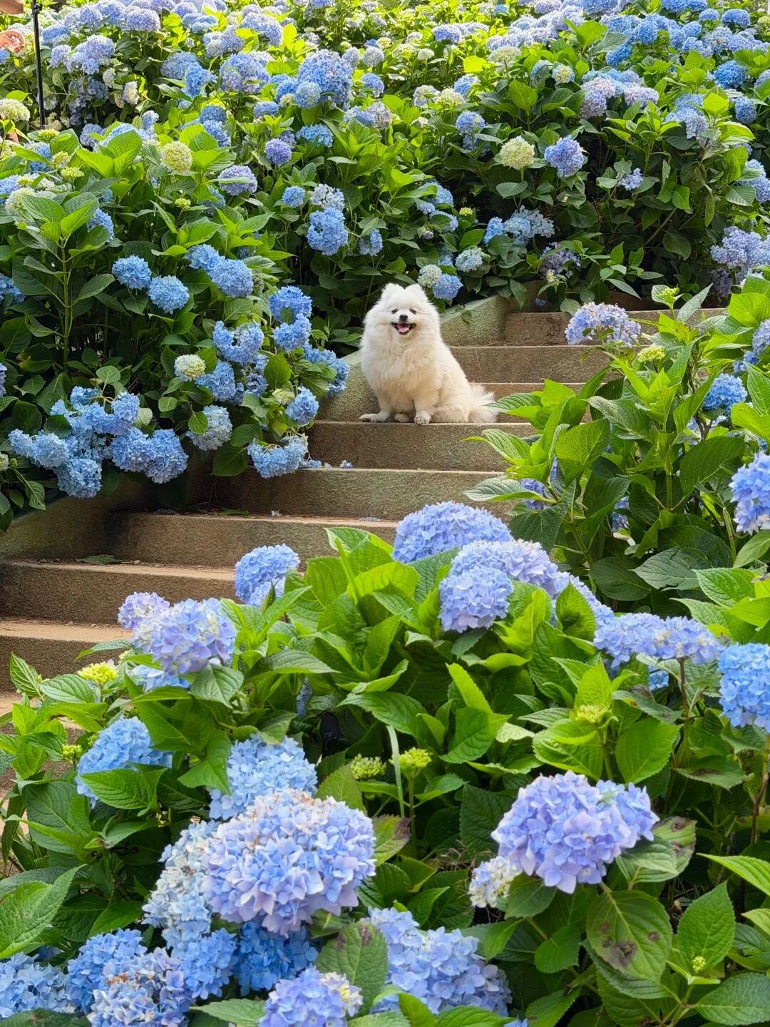 街头巷尾