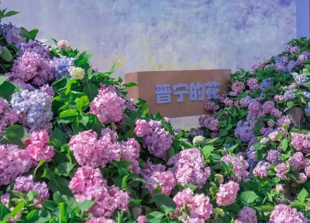 街头巷尾