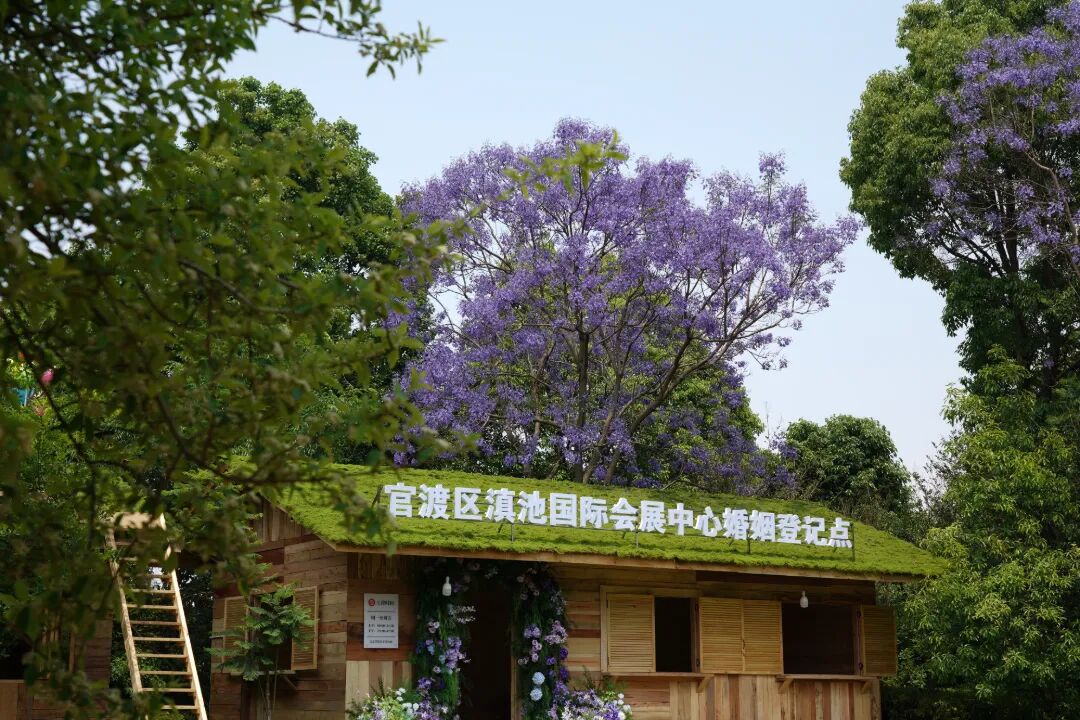 昆明广播电视台经济生活频道