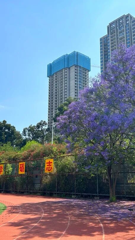 都市时报教育