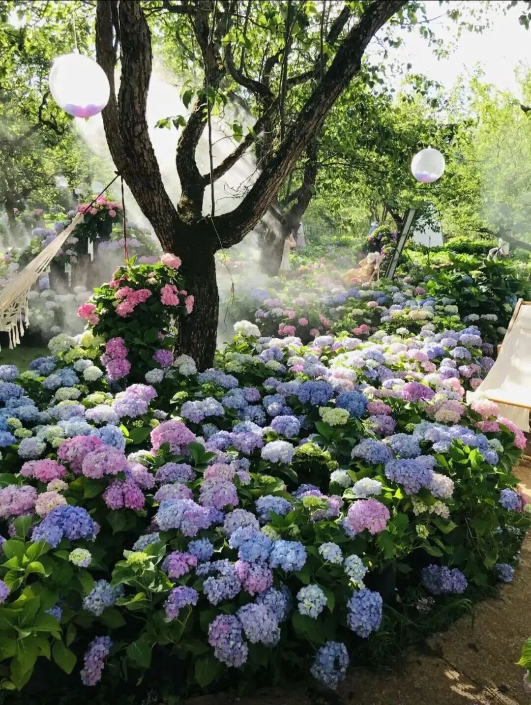 街头巷尾