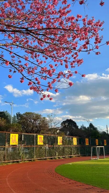 都市时报教育