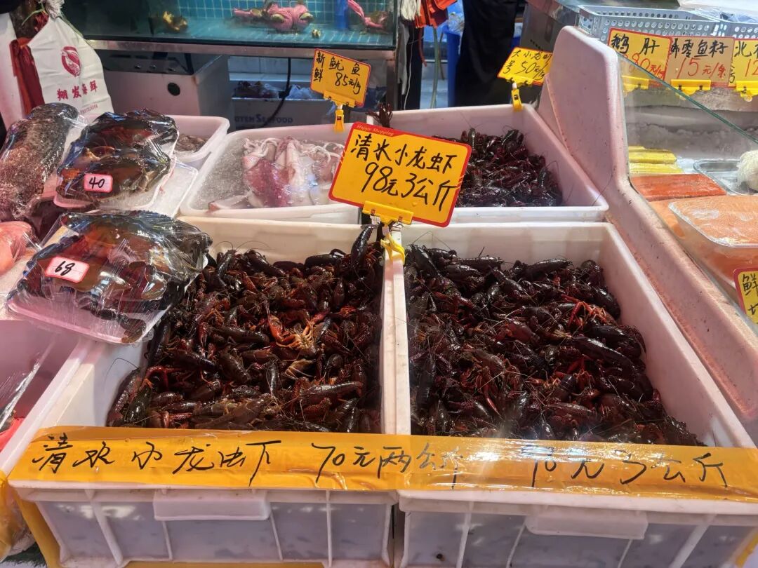 都市时报