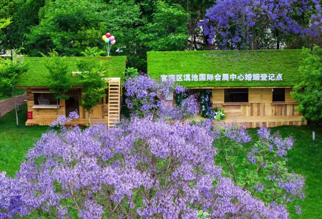 街头巷尾