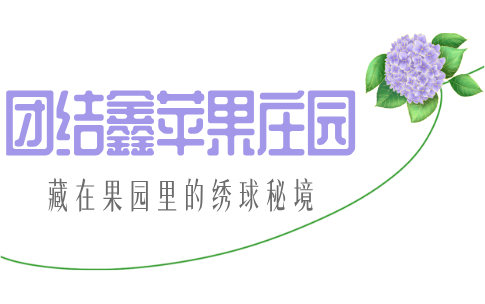 街头巷尾