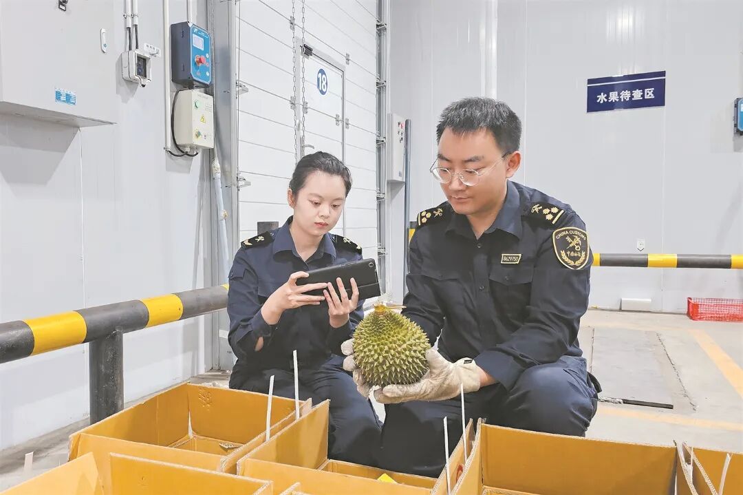 昆报头条