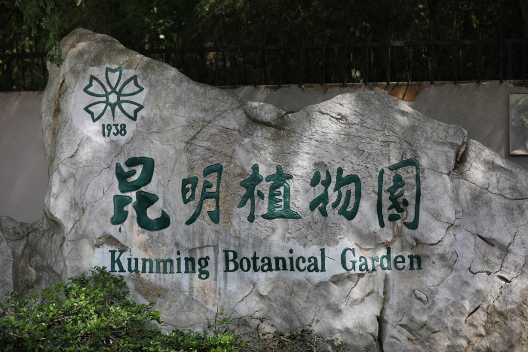 街头巷尾
