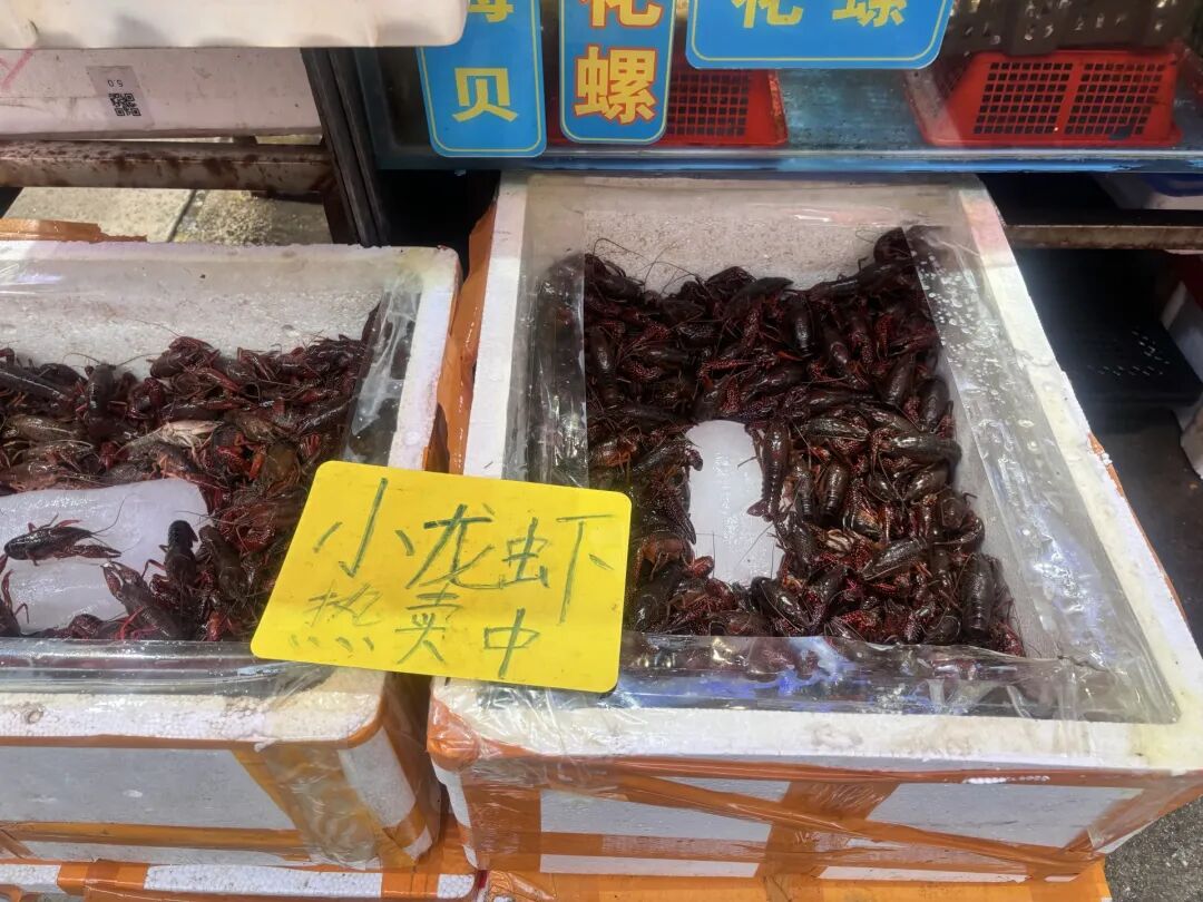 都市时报