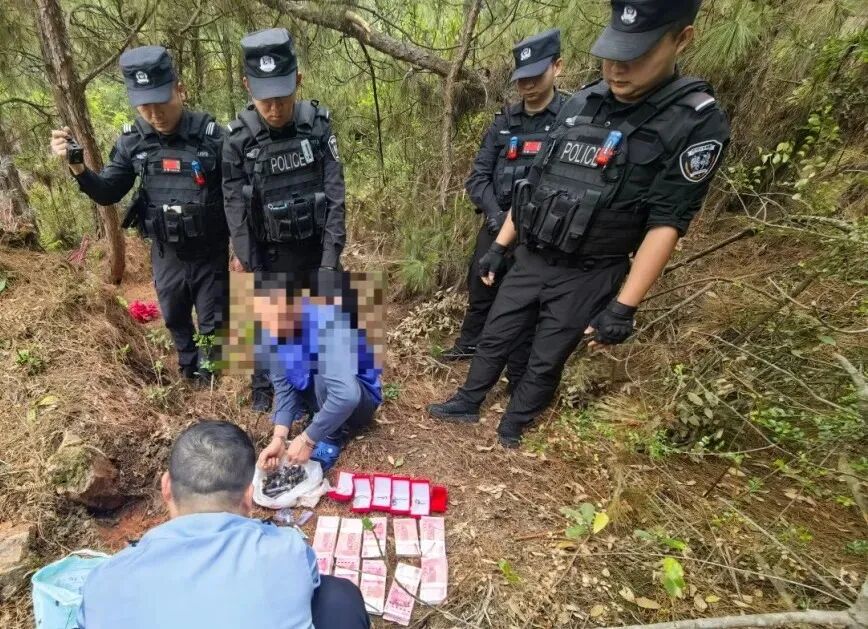 掌上春城微信