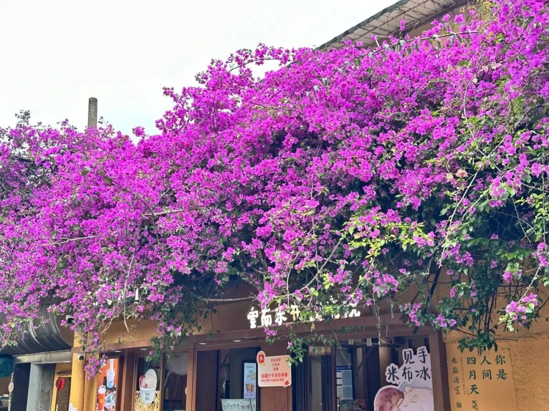 街头巷尾