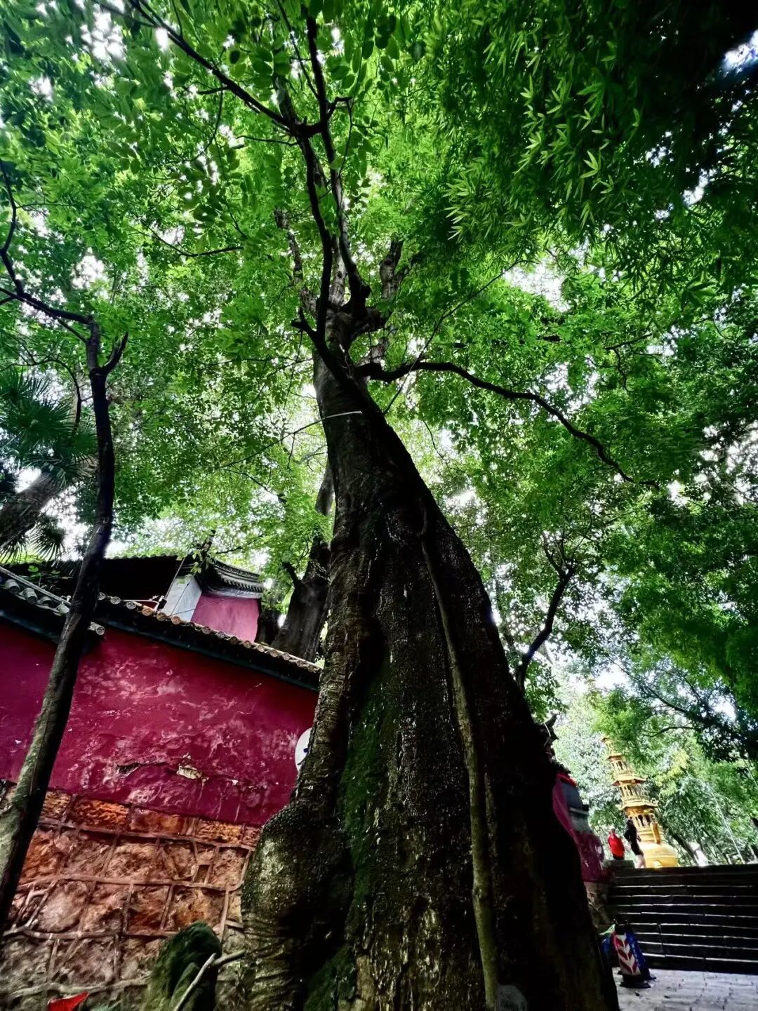 街头巷尾