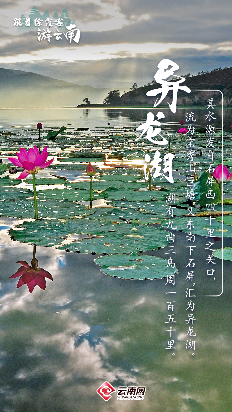 8099999街头巷尾微信