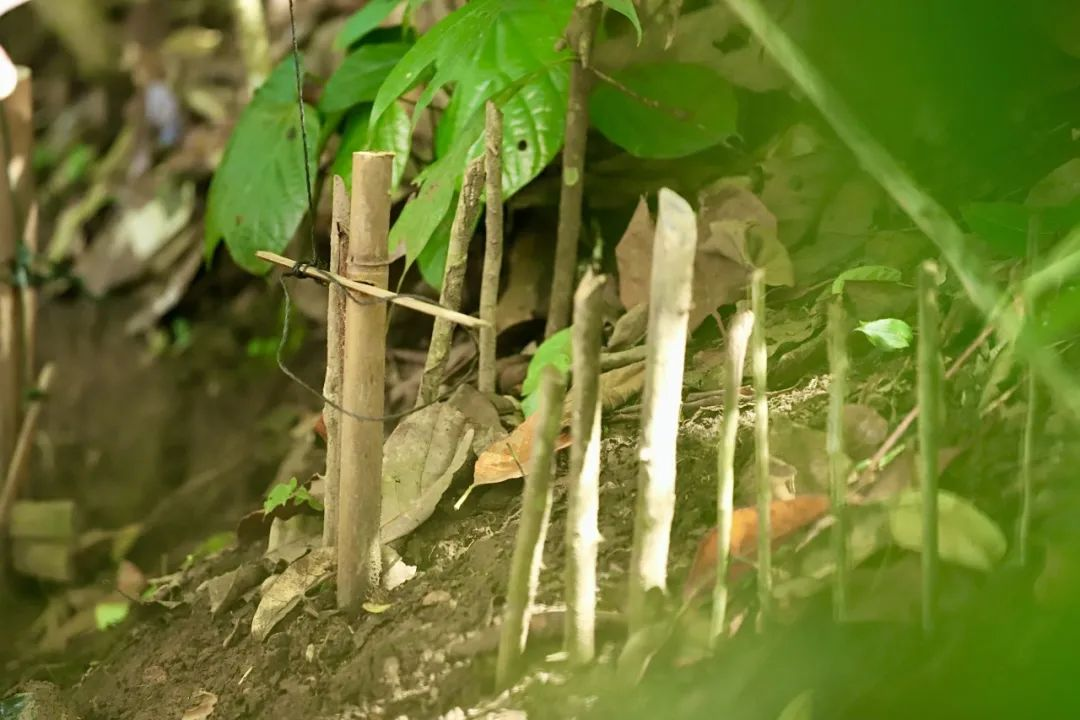 街头巷尾