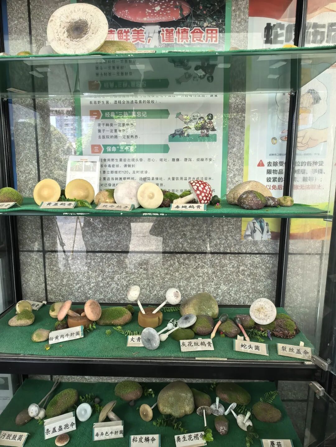 健康昆明