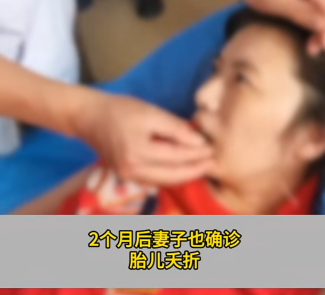 掌上春城微信