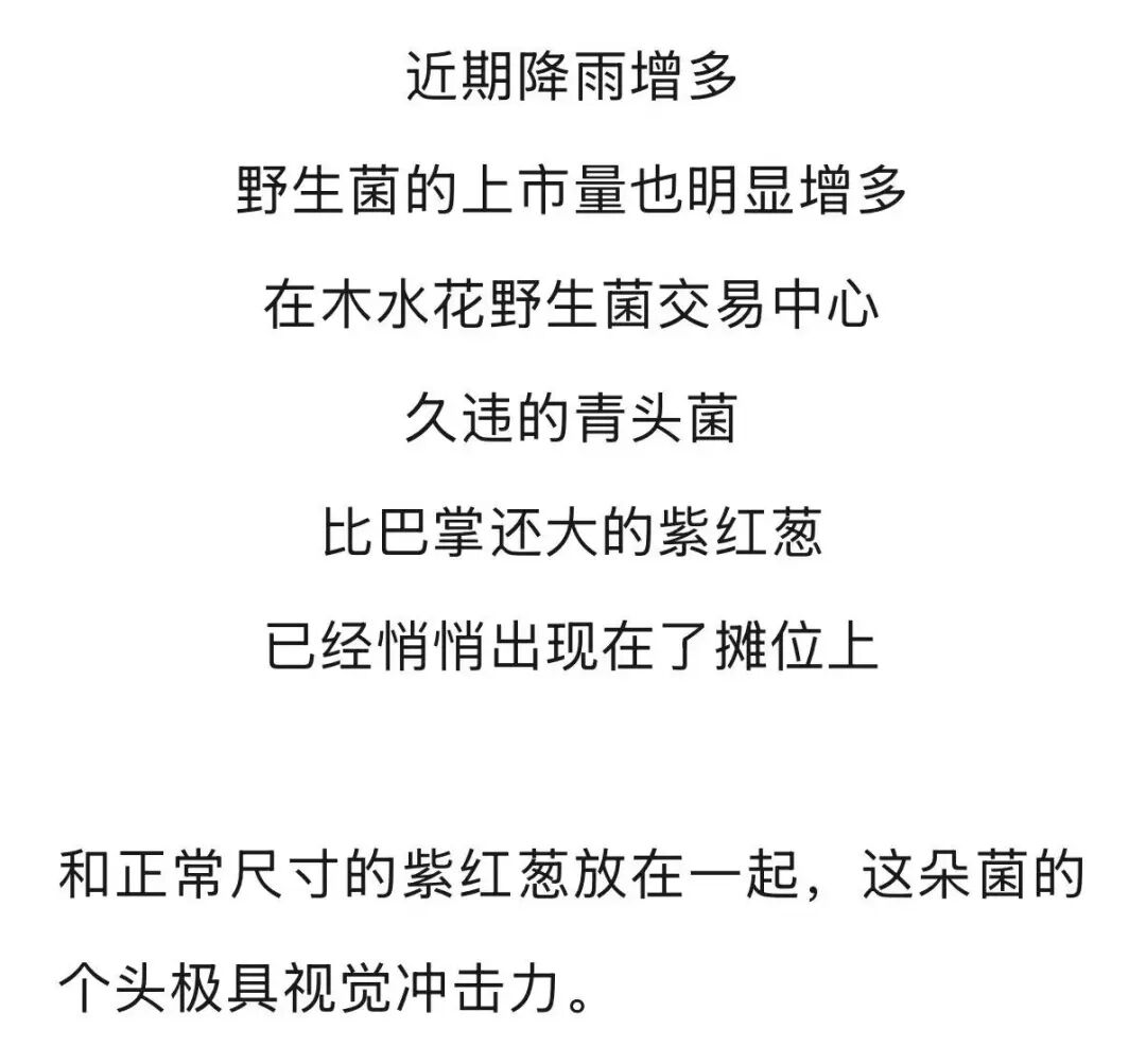 FM105老年广播