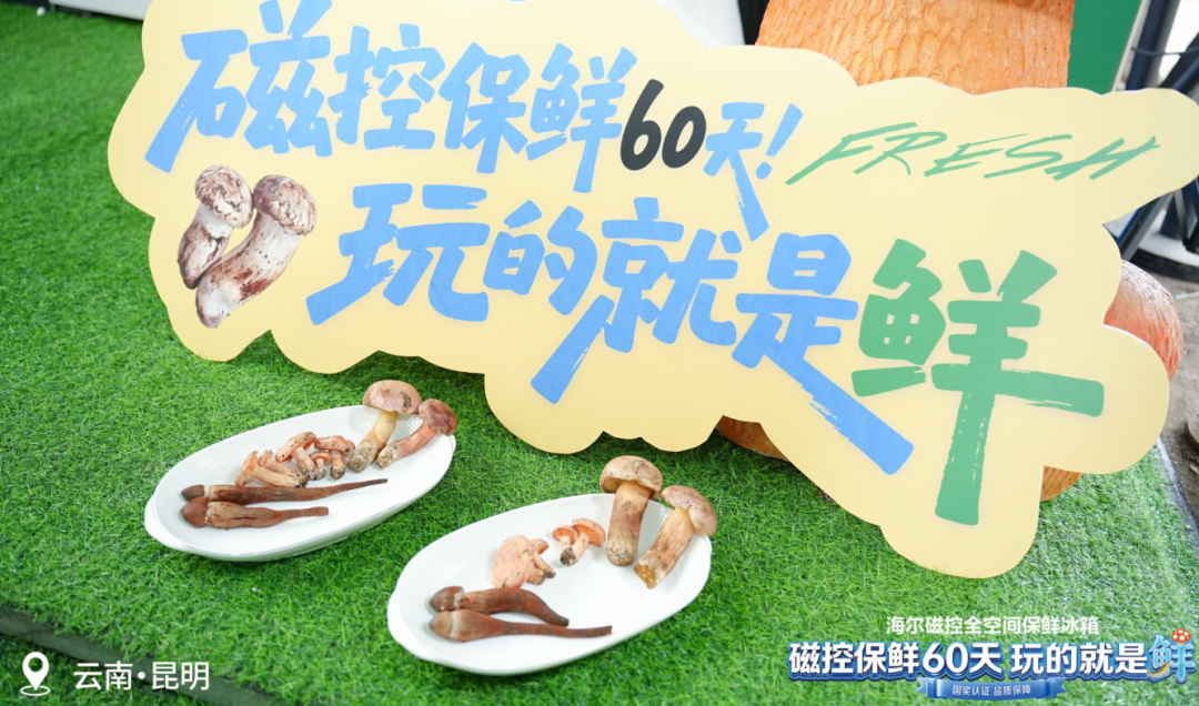 昆报头条