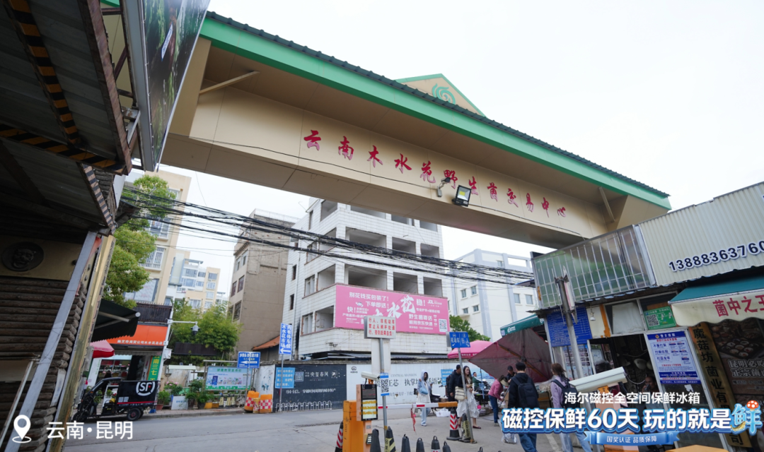 昆报头条