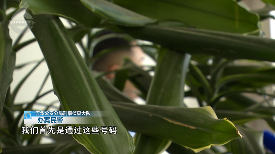 8099999街头巷尾微信