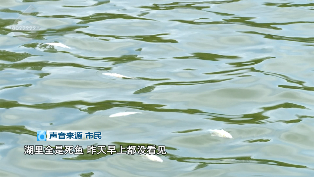 8099999街头巷尾微信