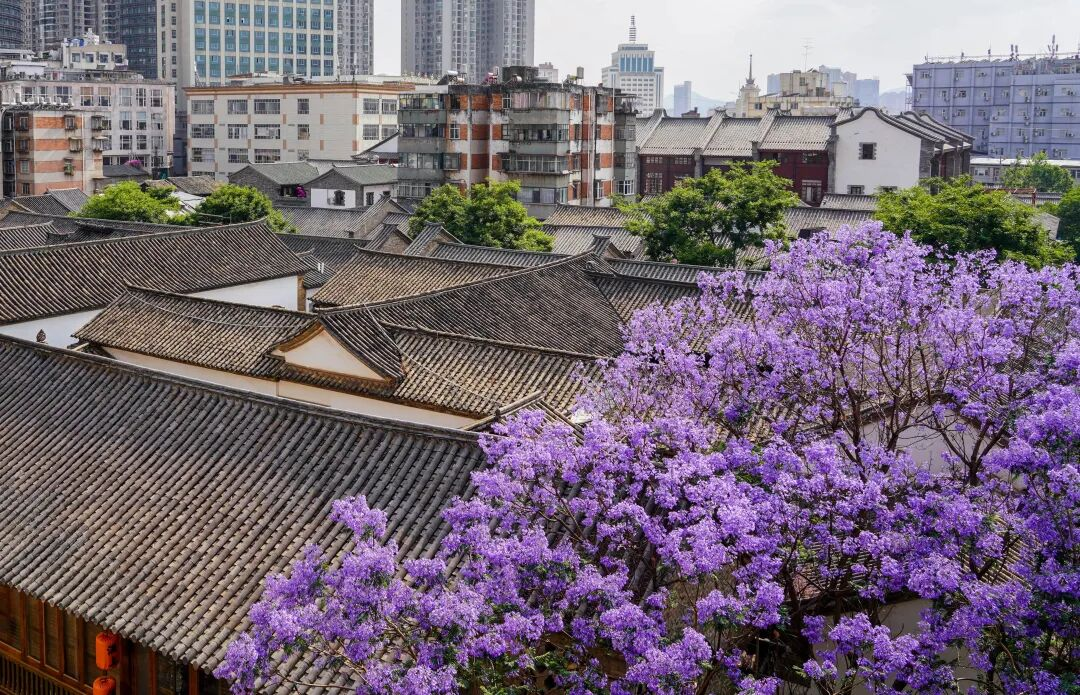 都市时报
