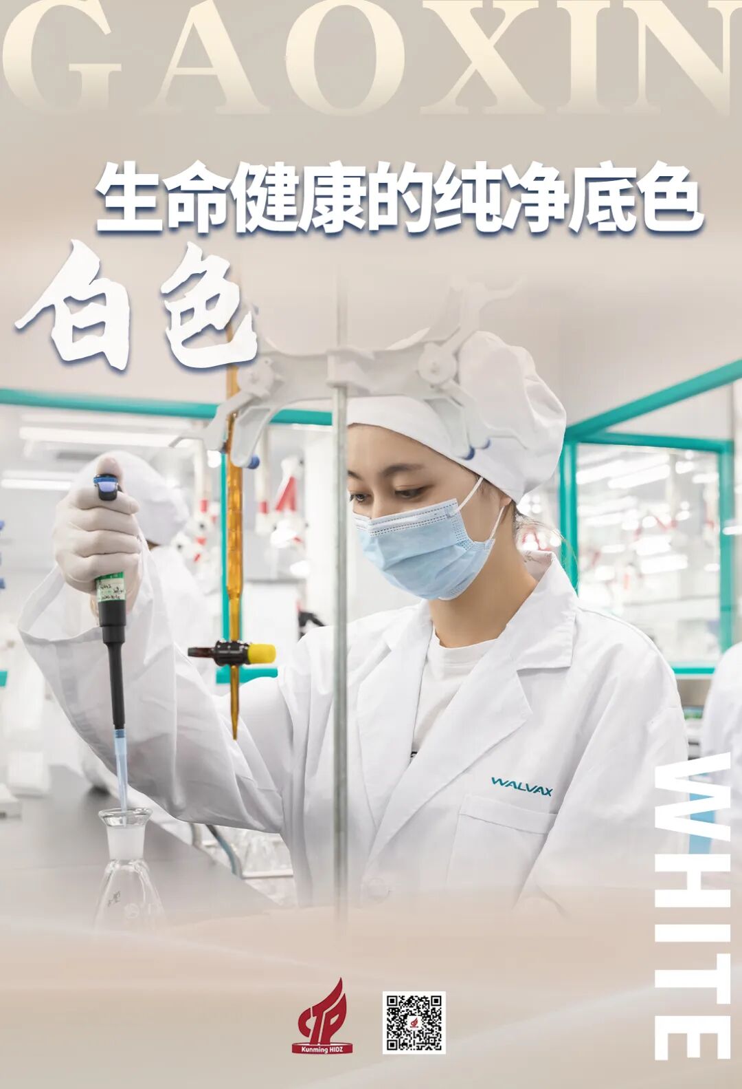 昆报头条