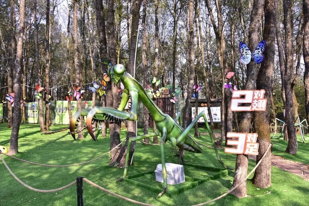 街头巷尾