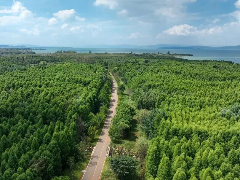 FM954昆明汽车音乐广播