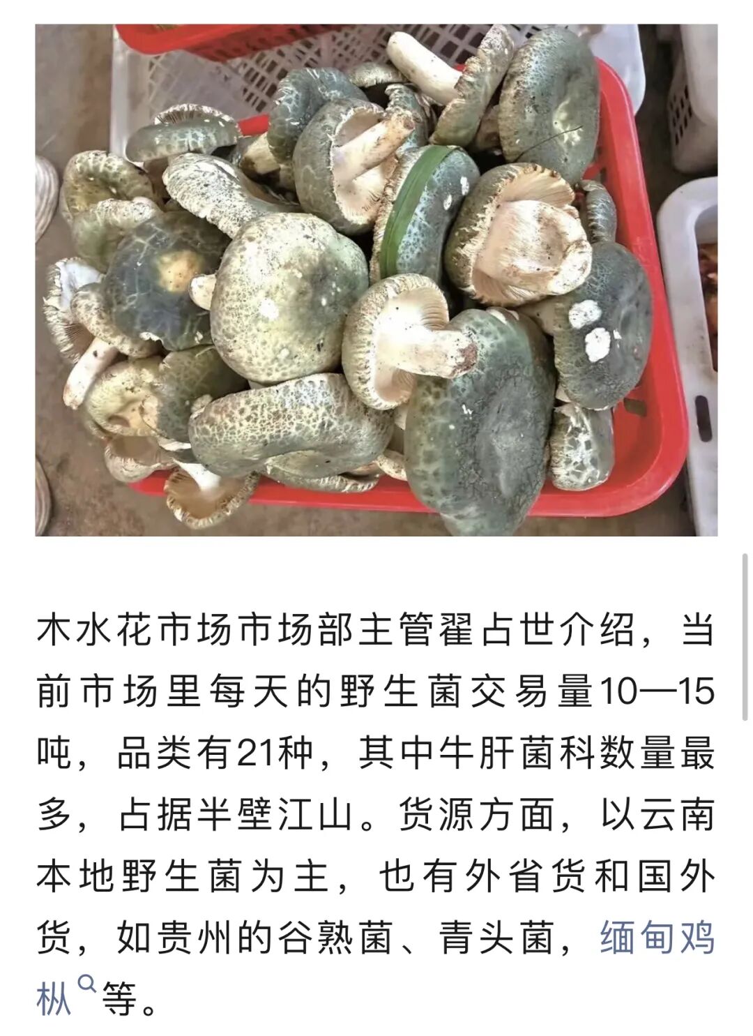 FM105老年广播