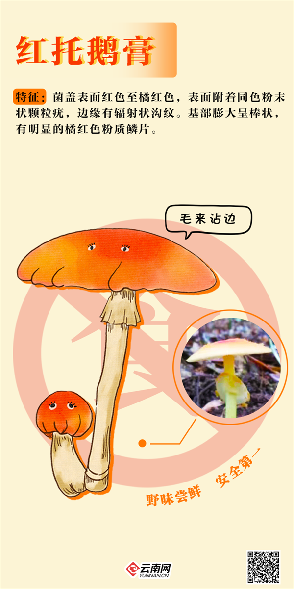掌上春城微信